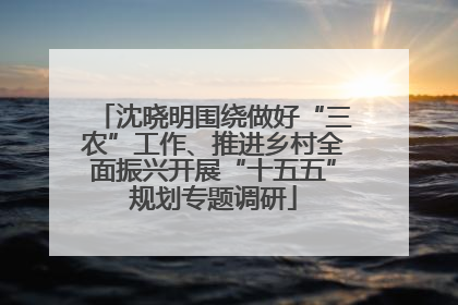 沈晓明围绕做好“三农”工作、推进乡村全面振兴开展“十五五”规划专题调研