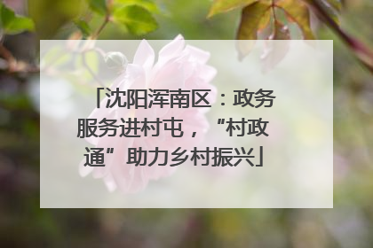 沈阳浑南区：政务服务进村屯，“村政通”助力乡村振兴