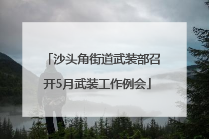 沙头角街道武装部召开5月武装工作例会