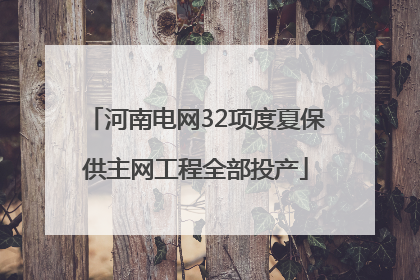 河南电网32项度夏保供主网工程全部投产