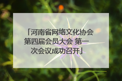 河南省网络文化协会第四届会员大会 第一次会议成功召开