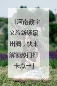 河南数字文旅新场景出圈，快来解锁热门打卡点→