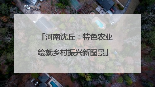 河南沈丘：特色农业绘就乡村振兴新图景