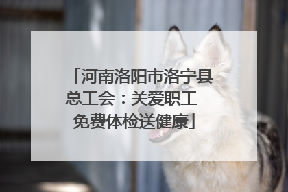 河南洛阳市洛宁县总工会：关爱职工 免费体检送健康