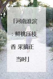 河南淮滨：鲜桃压枝香 采摘正当时