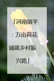 河南镇平：万亩荷花铺就乡村振兴路