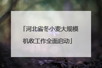 河北省冬小麦大规模机收工作全面启动