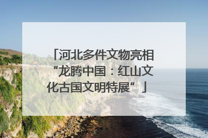 河北多件文物亮相“龙腾中国：红山文化古国文明特展”