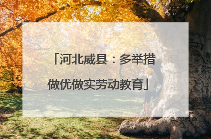河北威县：多举措做优做实劳动教育