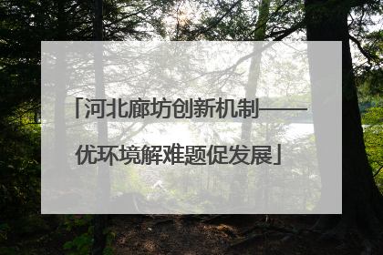 河北廊坊创新机制——优环境解难题促发展