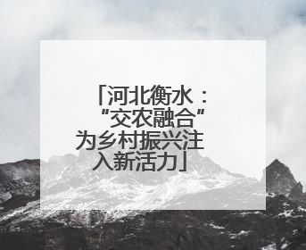 河北衡水：“交农融合”为乡村振兴注入新活力