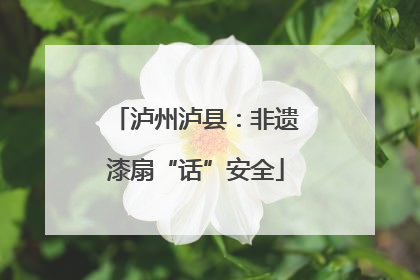 泸州泸县：非遗漆扇“话”安全