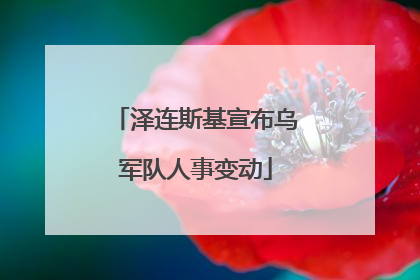 泽连斯基宣布乌军队人事变动