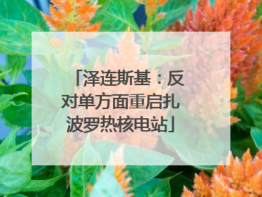 泽连斯基：反对单方面重启扎波罗热核电站