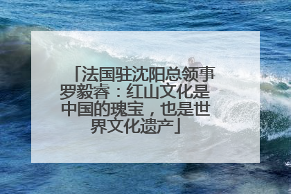 法国驻沈阳总领事罗毅睿：红山文化是中国的瑰宝，也是世界文化遗产