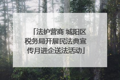 法护营商 城阳区税务局开展民法典宣传月进企送法活动