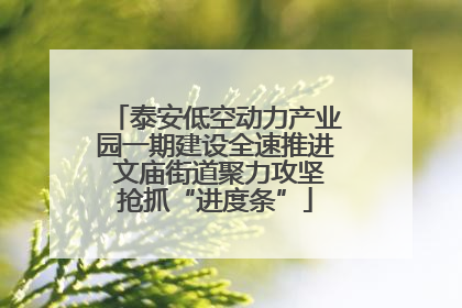 泰安低空动力产业园一期建设全速推进 文庙街道聚力攻坚抢抓“进度条”