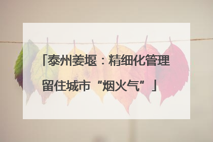 泰州姜堰：精细化管理留住城市“烟火气”