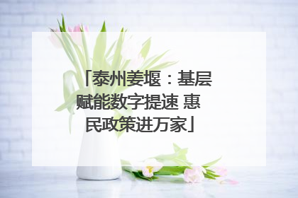 泰州姜堰：基层赋能数字提速 惠民政策进万家