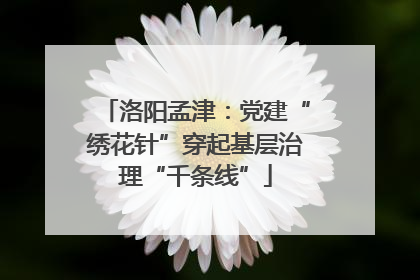 洛阳孟津：党建“绣花针”穿起基层治理“千条线”