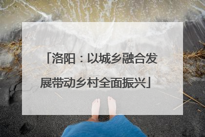 洛阳：以城乡融合发展带动乡村全面振兴