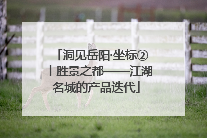 洞见岳阳·坐标②丨胜景之都——江湖名城的产品迭代