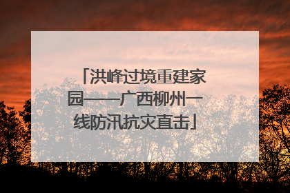 洪峰过境重建家园——广西柳州一线防汛抗灾直击