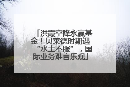 洪霞空降永赢基金！贝莱德时期遇“水土不服”，国际业务难言乐观