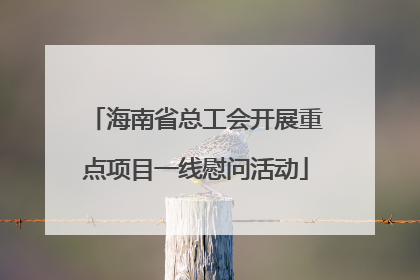 海南省总工会开展重点项目一线慰问活动