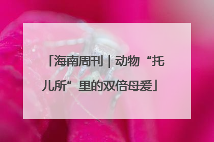 海南周刊｜动物“托儿所”里的双倍母爱