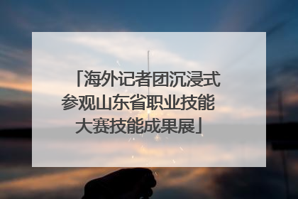 海外记者团沉浸式参观山东省职业技能大赛技能成果展