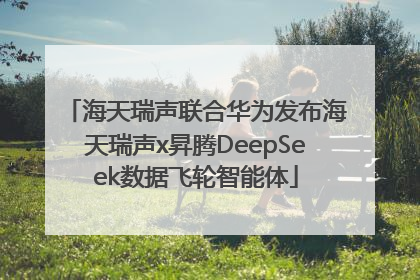 海天瑞声联合华为发布海天瑞声x昇腾DeepSeek数据飞轮智能体