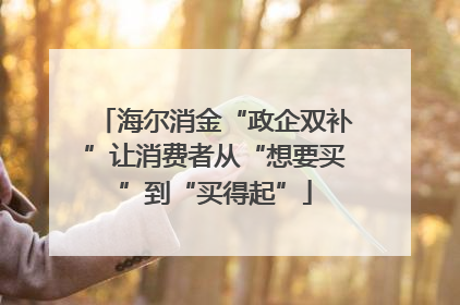 海尔消金“政企双补”让消费者从“想要买”到“买得起”