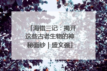 海错三记：揭开这些古老生物的神秘面纱｜盛文强