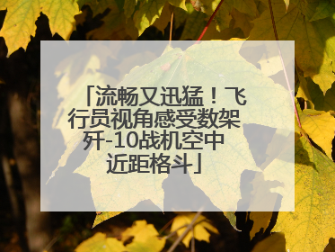 流畅又迅猛！飞行员视角感受数架歼-10战机空中近距格斗