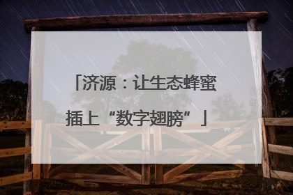 济源：让生态蜂蜜插上“数字翅膀”