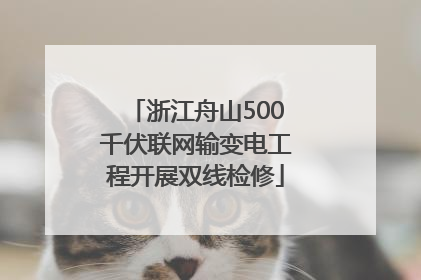 浙江舟山500千伏联网输变电工程开展双线检修