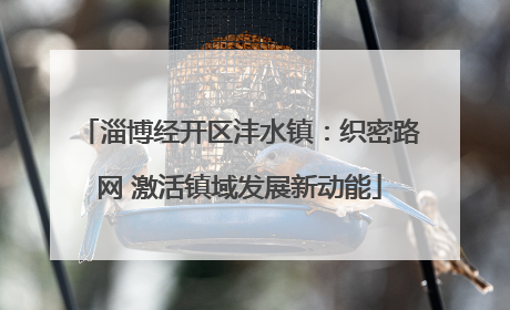 淄博经开区沣水镇：织密路网 激活镇域发展新动能