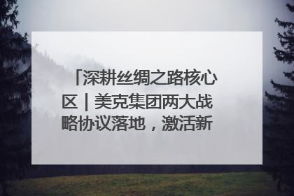 深耕丝绸之路核心区｜美克集团两大战略协议落地，激活新疆开放新动能