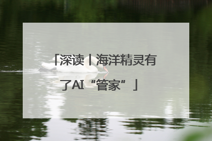 深读丨海洋精灵有了AI“管家”