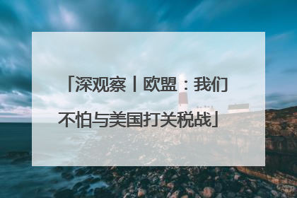 深观察丨欧盟：我们不怕与美国打关税战