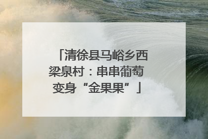 清徐县马峪乡西梁泉村：串串葡萄变身“金果果”