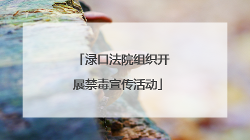 渌口法院组织开展禁毒宣传活动