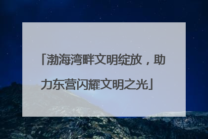 渤海湾畔文明绽放，助力东营闪耀文明之光