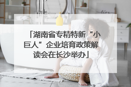 湖南省专精特新“小巨人”企业培育政策解读会在长沙举办