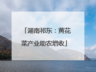 湖南祁东：黄花菜产业助农增收