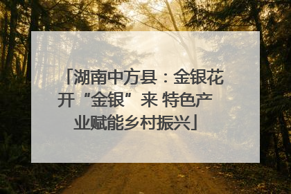 湖南中方县：金银花开“金银”来 特色产业赋能乡村振兴