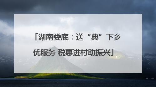 湖南娄底：送“典”下乡优服务 税惠进村助振兴