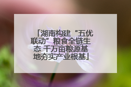 湖南构建“五优联动”粮食全链生态 千万亩粮源基地夯实产业根基