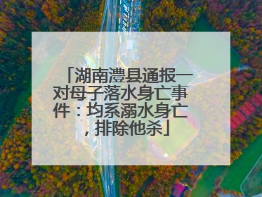 湖南澧县通报一对母子落水身亡事件：均系溺水身亡，排除他杀